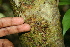  ( - BioBot00303)  @11 [ ] Copyright (2010) Unspecified Unspecified