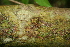 ( - BioBot00303)  @11 [ ] Copyright (2010) Unspecified Unspecified