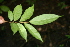  ( - BioBot00303)  @11 [ ] Copyright (2010) Unspecified Unspecified