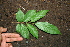  ( - BioBot00303)  @11 [ ] Copyright (2010) Unspecified Unspecified