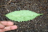  ( - BioBot00303)  @11 [ ] Copyright (2010) Unspecified Unspecified