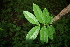  ( - BioBot00305)  @11 [ ] Copyright (2010) Unspecified Unspecified