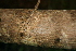  ( - BioBot00307)  @11 [ ] Copyright (2010) Unspecified Unspecified