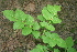  ( - BioBot00310)  @11 [ ] Copyright (2010) Unspecified Unspecified