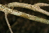  ( - BioBot00314)  @11 [ ] Copyright (2010) Unspecified Unspecified