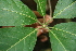  ( - BioBot00314)  @11 [ ] Copyright (2010) Unspecified Unspecified