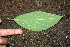  ( - BioBot00314)  @11 [ ] Copyright (2010) Unspecified Unspecified