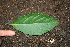  ( - BioBot00314)  @11 [ ] Copyright (2010) Unspecified Unspecified