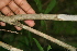  ( - BioBot00315)  @11 [ ] Copyright (2010) Unspecified Unspecified