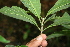  ( - BioBot00315)  @11 [ ] Copyright (2010) Unspecified Unspecified