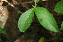  ( - BioBot00315)  @11 [ ] Copyright (2010) Unspecified Unspecified