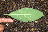  ( - BioBot00315)  @11 [ ] Copyright (2010) Unspecified Unspecified