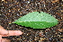  ( - BioBot00315)  @11 [ ] Copyright (2010) Unspecified Unspecified
