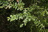  ( - BioBot00322)  @11 [ ] Copyright (2010) Unspecified Unspecified