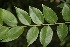  ( - BioBot00322)  @11 [ ] Copyright (2010) Unspecified Unspecified