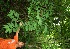  ( - BioBot00324)  @11 [ ] Copyright (2010) Unspecified Unspecified
