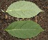  ( - BioBot00324)  @11 [ ] Copyright (2010) Unspecified Unspecified