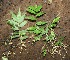  ( - BioBot00326)  @11 [ ] Copyright (2010) Unspecified Unspecified