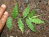  ( - BioBot00326)  @11 [ ] Copyright (2010) Unspecified Unspecified