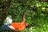  ( - BioBot00329)  @11 [ ] Copyright (2010) Unspecified Unspecified