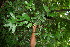  ( - BioBot00329)  @11 [ ] Copyright (2010) Unspecified Unspecified