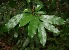  ( - BioBot00329)  @11 [ ] Copyright (2010) Unspecified Unspecified