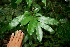  ( - BioBot00329)  @11 [ ] Copyright (2010) Unspecified Unspecified
