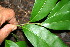  ( - BioBot00329)  @11 [ ] Copyright (2010) Unspecified Unspecified