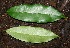  ( - BioBot00329)  @11 [ ] Copyright (2010) Unspecified Unspecified