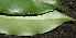  ( - BioBot00329)  @11 [ ] Copyright (2010) Unspecified Unspecified