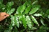  ( - BioBot00330)  @11 [ ] Copyright (2010) Unspecified Unspecified