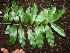  ( - BioBot00330)  @11 [ ] Copyright (2010) Unspecified Unspecified