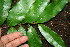  ( - BioBot00330)  @11 [ ] Copyright (2010) Unspecified Unspecified