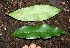  ( - BioBot00330)  @11 [ ] Copyright (2010) Unspecified Unspecified