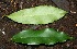  ( - BioBot00330)  @11 [ ] Copyright (2010) Unspecified Unspecified