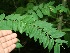  ( - BioBot00332)  @11 [ ] Copyright (2010) Unspecified Unspecified