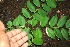 ( - BioBot00332)  @11 [ ] Copyright (2010) Unspecified Unspecified