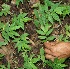  ( - BioBot00333)  @11 [ ] Copyright (2010) Unspecified Unspecified