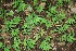  ( - BioBot00333)  @11 [ ] Copyright (2010) Unspecified Unspecified