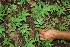  ( - BioBot00333)  @11 [ ] Copyright (2010) Unspecified Unspecified