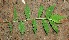  ( - BioBot00333)  @11 [ ] Copyright (2010) Unspecified Unspecified