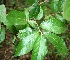  ( - BioBot00342)  @11 [ ] Copyright (2010) Unspecified Unspecified