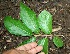  ( - BioBot00342)  @11 [ ] Copyright (2010) Unspecified Unspecified