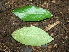  ( - BioBot00342)  @11 [ ] Copyright (2010) Unspecified Unspecified