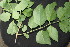  ( - BioBot00346)  @11 [ ] Copyright (2010) Unspecified Unspecified