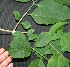  ( - BioBot00346)  @11 [ ] Copyright (2010) Unspecified Unspecified