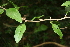  ( - BioBot00370)  @11 [ ] Copyright (2010) Unspecified Unspecified