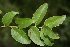  ( - BioBot00372)  @11 [ ] CreativeCommons - Attribution Non-Commercial Share-Alike (2010) Daniel H. Janzen Guanacaste Dry Forest Conservation Fund