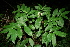  ( - BioBot00378)  @11 [ ] Copyright (2010) Unspecified Unspecified