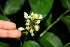  ( - BioBot00378)  @11 [ ] Copyright (2010) Unspecified Unspecified